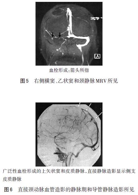 华体会体育hth官方网站