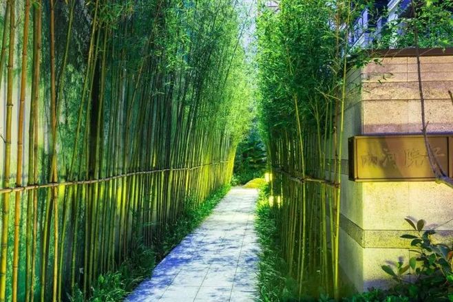 hth官网入口_补过七夕还不算晚!和《碧蓝航线》来场VR婚礼吧!(图3) hth官网入口